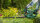 Bosch Heckenschere EasyHedgeCut 45, 420 W, 45 cm Messer, 2,6 kg, ergonomisch, inkl. Messerabdeckung, Karton