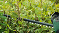 Bosch Akku-Heckenschere UniversalHedgeCut 18V-50,...