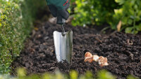 Bosch Handwerkzeuge Pflanzkelle, ergonomisch, kompakt, ideal zum Saatgutsetzen & Umpflanzen