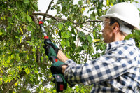 Bosch Akku-Gartenschere AdvancedPrune 18V-45, 1x 2.0Ah Akku, Quick Cut, 360°-Startschalter, 1,8m Verlängerung