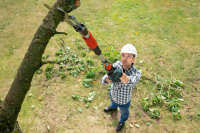 Bosch Akku-Gartenschere AdvancedPrune 18V-45, 45mm Schnitt, 360° Start, Verlängerung, LED-Akkuanzeige